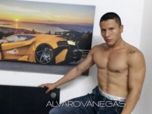 ALVAROVANEGAS
