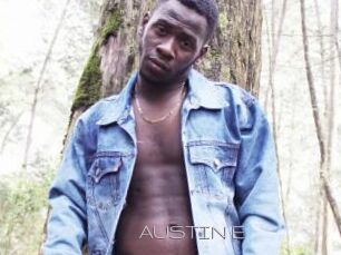 AUSTIN_E
