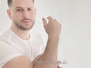 AaronSchulz