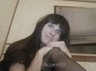 Acorn551