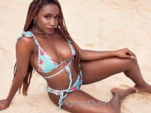 AgnesBush