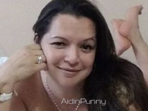 AidinPunny