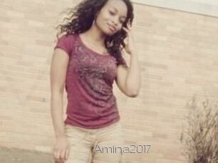 Amina2017