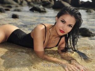 AminaKey