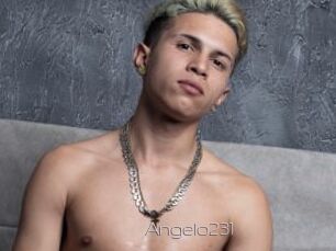 Angelo231