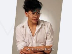 Antinoo_ditella