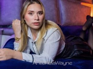 AntonelaWayne
