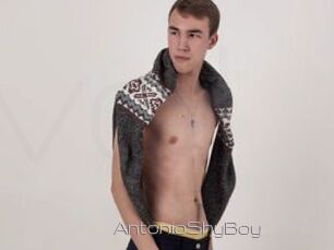AntonioShyBoy