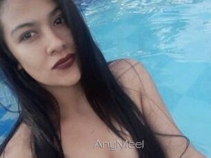 AnyMeel