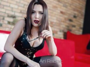 Ari_Rabbit