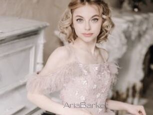 AriaBarket