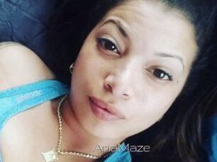 Aria_Maze