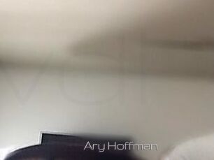 Ary_Hoffman