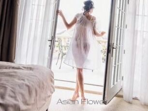 Asian_Flower_