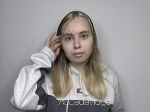 Accadavidge