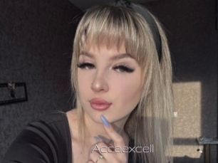 Accaexcell