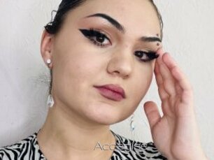 Accagise
