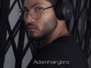 Adamhairybro