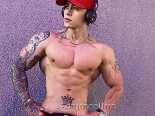 Adamscollims