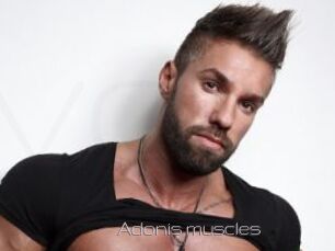 Adonis_muscles