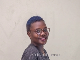 Africanbunny