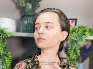 Aftonhase