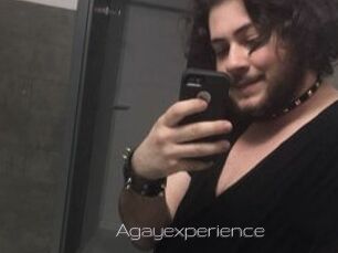 Agayexperience