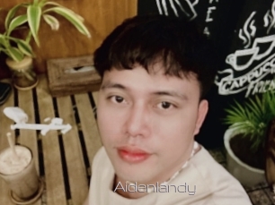 Aidenlandy