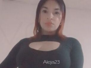 Aleja23