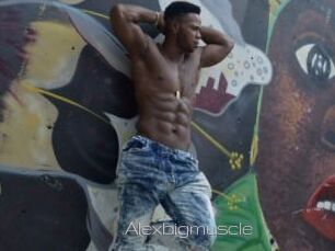 Alexbigmuscle