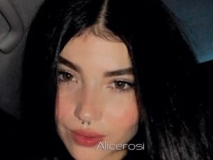 Alicerosi