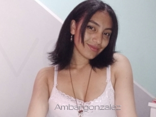 Ambargonzalez