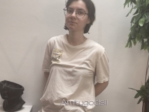 Amitygodsil