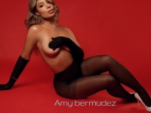 Amy_bermudez