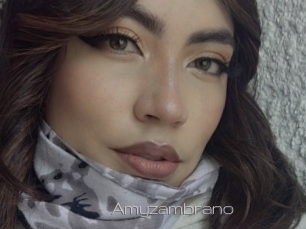 Amyzambrano