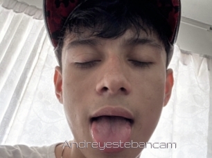 Andreyestebancam