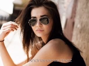 Andrianamartinez