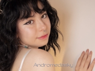 Andromedasky