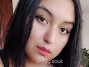 Andy_sout