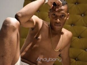 Andybony