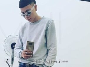 Andykittsunee