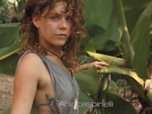 Aniccaspinelli