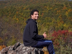 Anis66