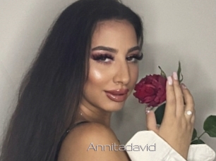 Annitadavid