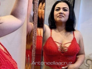 Antoneellaacruz