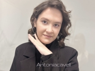 Antoniacavell