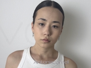 Antoniacorrell