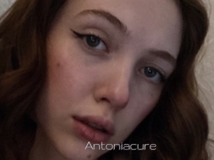 Antoniacure