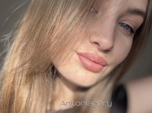 Antoniagary