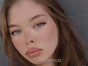 Areabridz